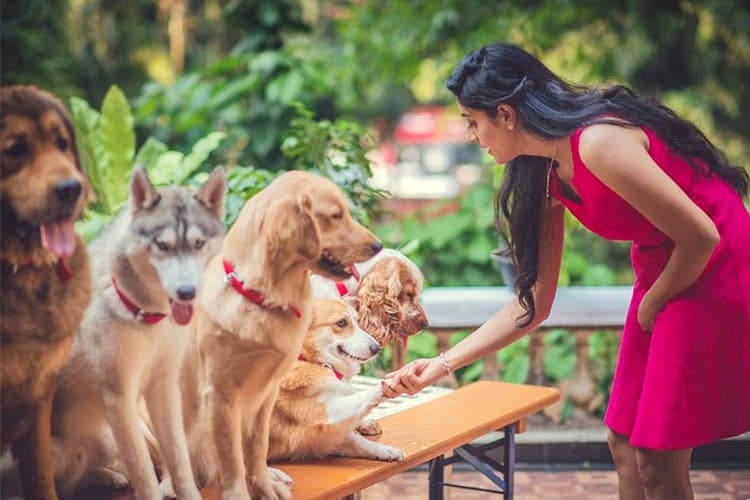 Basic Obedience